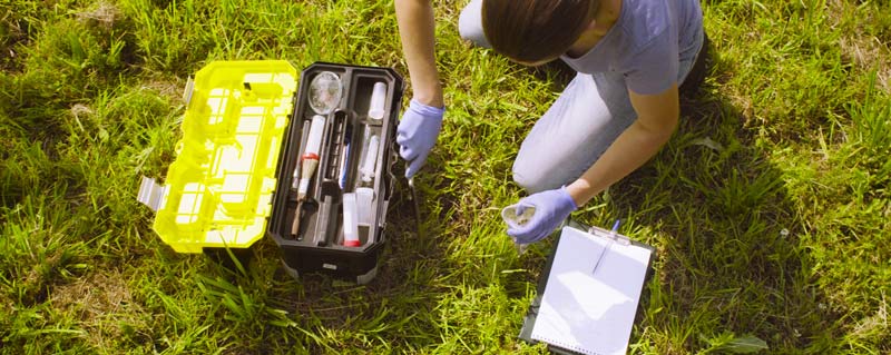 invasive-species-control-plan